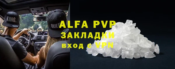 индика Баксан