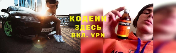 индика Баксан