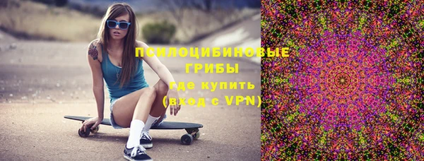 индика Баксан
