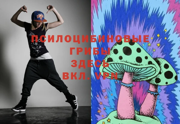 эйфоретик Медногорск