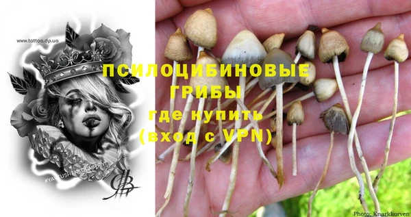 марки lsd Балабаново