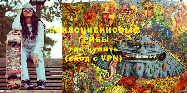 индика Баксан