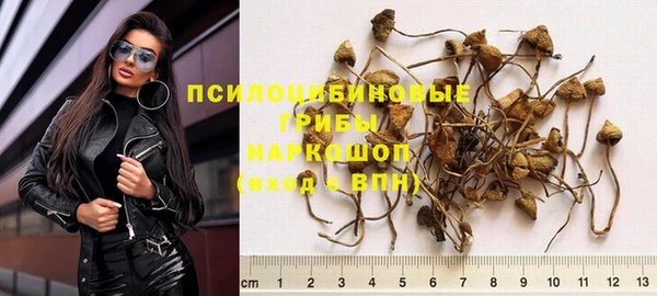 твердый Балахна